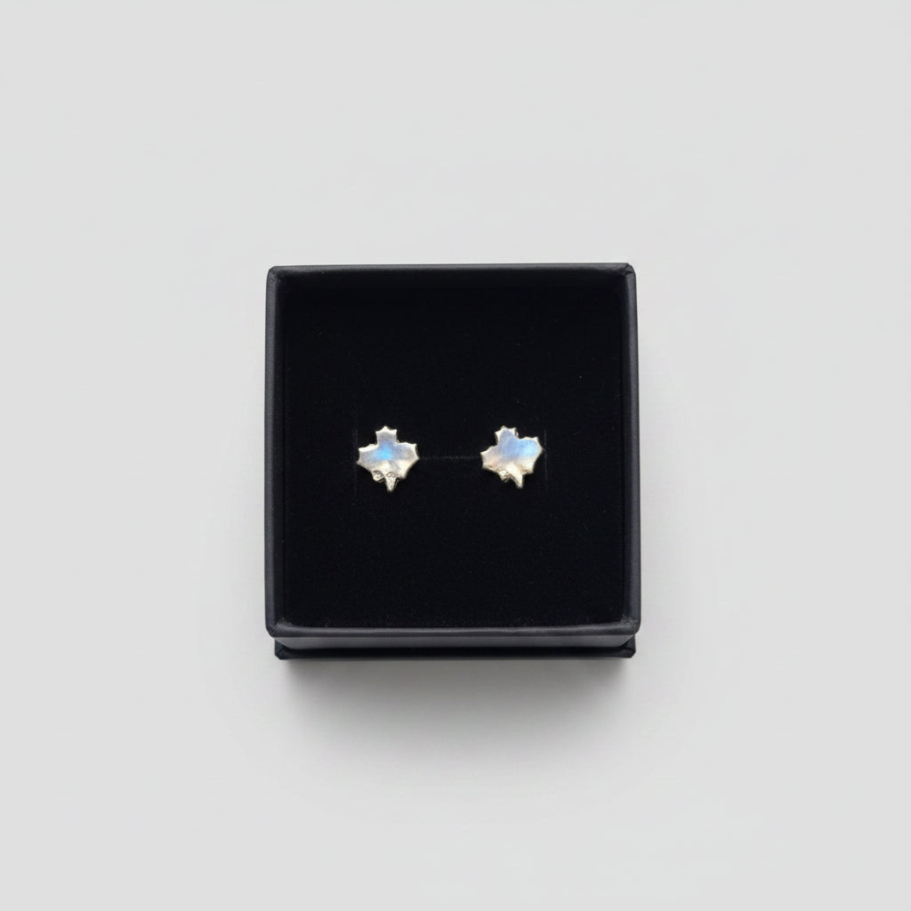 A pair of silver-toned stud earrings displayed inside an open black jewelry box held by a hand, with a blurred indoor background.